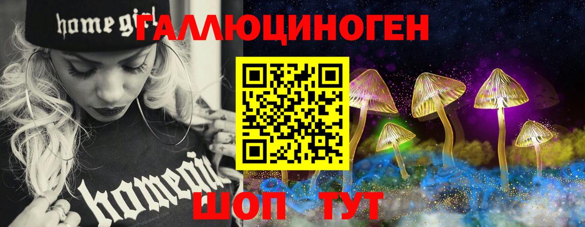Якутск  Галлюциногенные грибы Cubensis  Вход с VPN  Галлюциногенные грибы Cubensis 