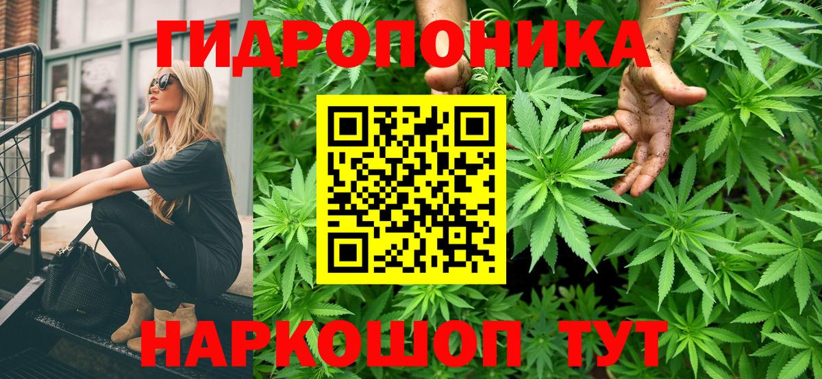 Канабис OG Kush  Вход с VPN  Бошки Шишки THC 21%  Якутск 